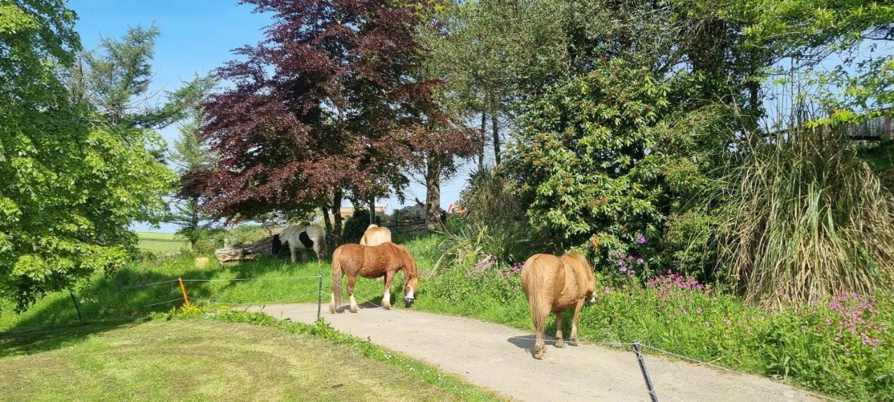 No 4 Trelawney Apartment - Onsite Bar - Restaurant - Horse Riding Menheniot Buitenkant foto