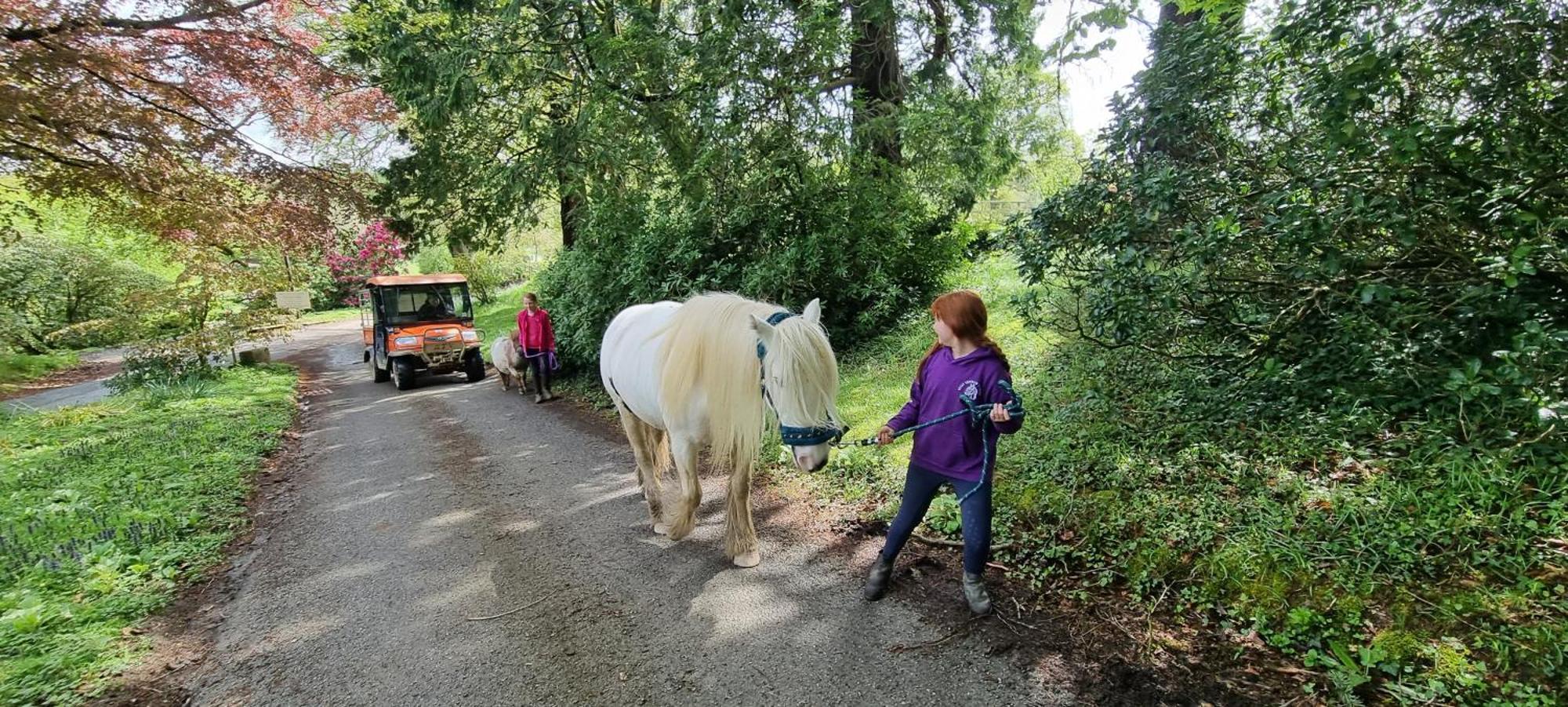 No 4 Trelawney Apartment - Onsite Bar - Restaurant - Horse Riding Menheniot Buitenkant foto