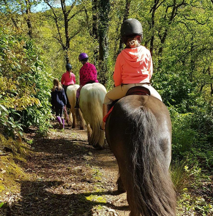 No 4 Trelawney Apartment - Onsite Bar - Restaurant - Horse Riding Menheniot Buitenkant foto
